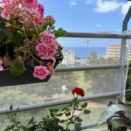 Your Peaceful In Funchal, Enjoy Garden & Sea アパート